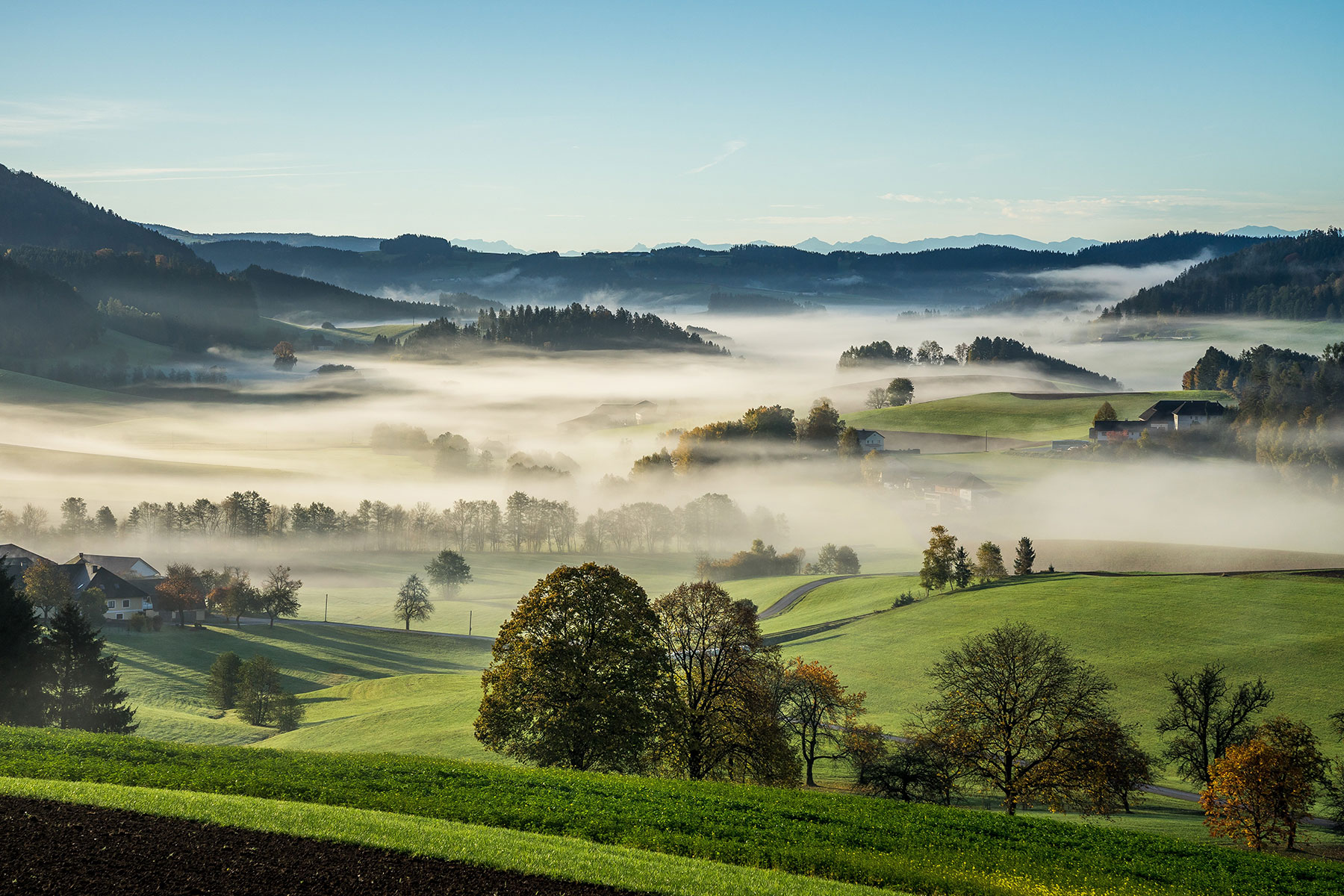 Mit Ruhe und Weitsicht handeln.